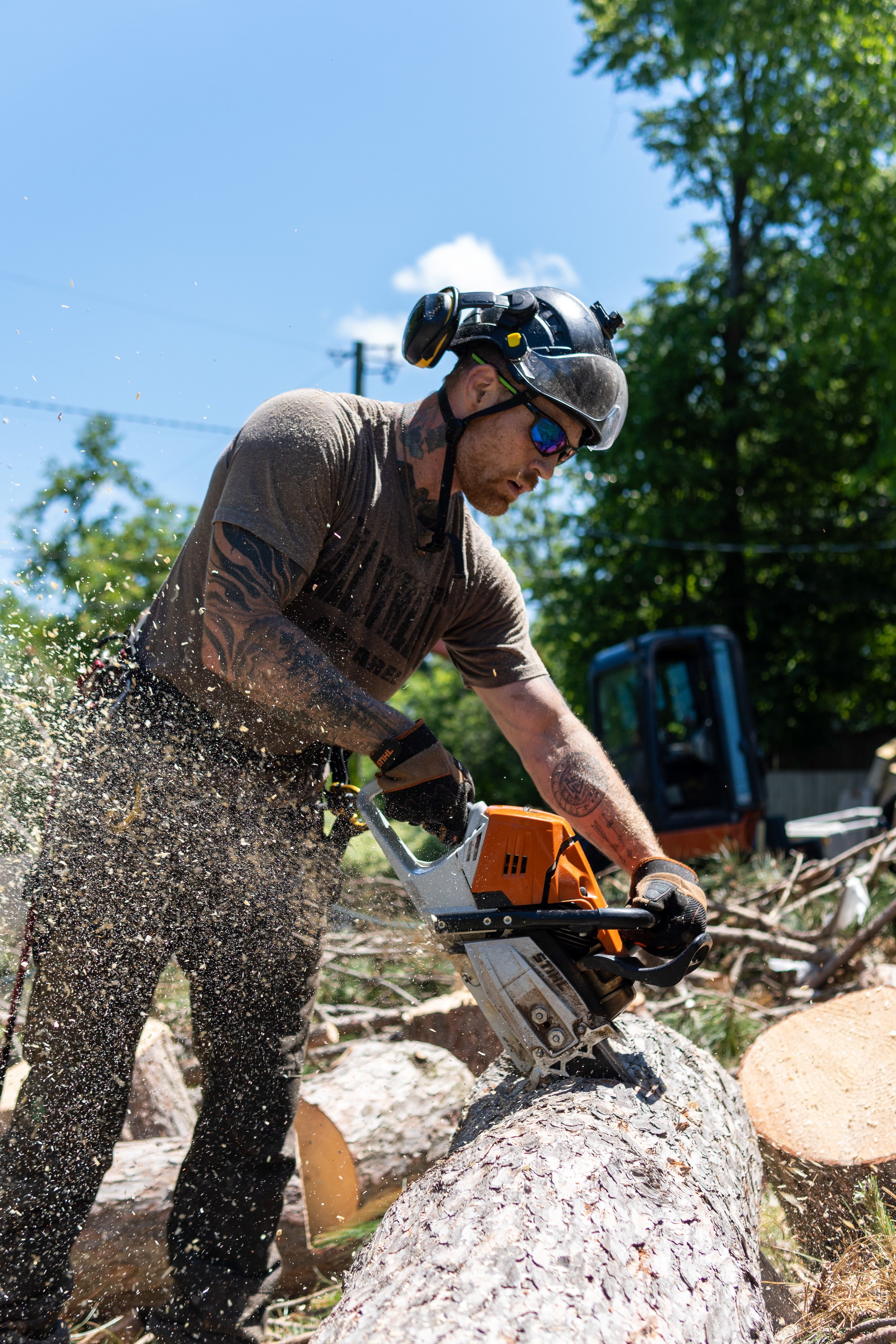 Crew member cutting a large log with chainsaw