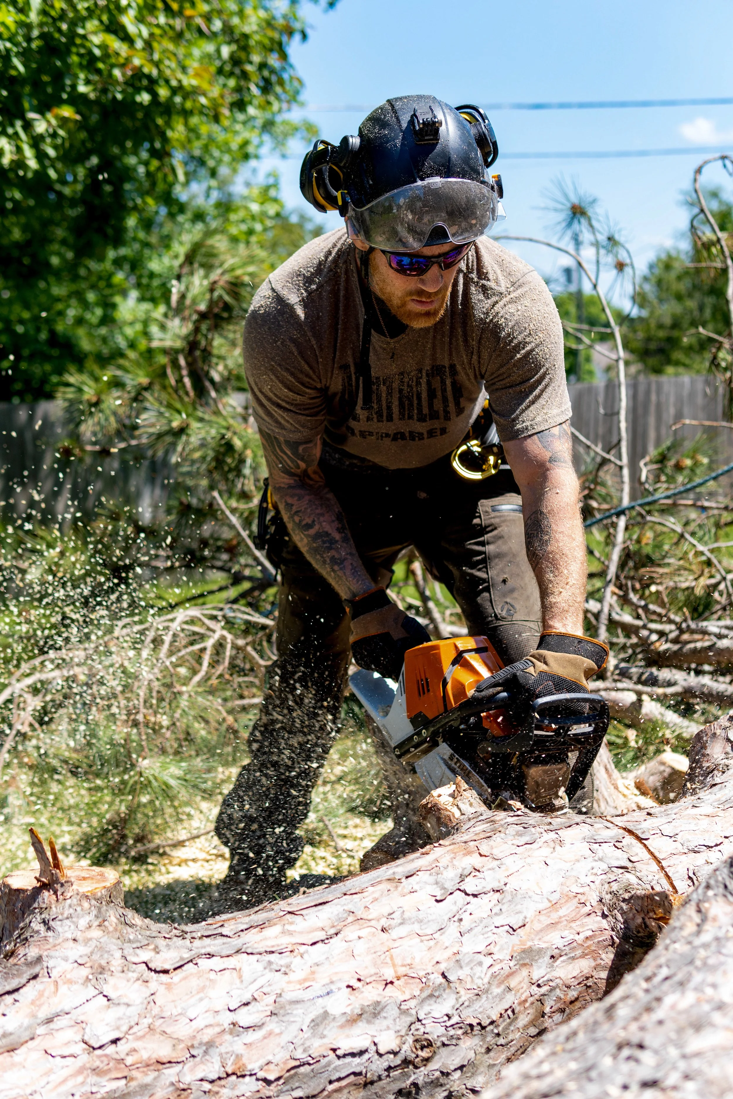 Crew member cutting a fallen tree with chainsaw