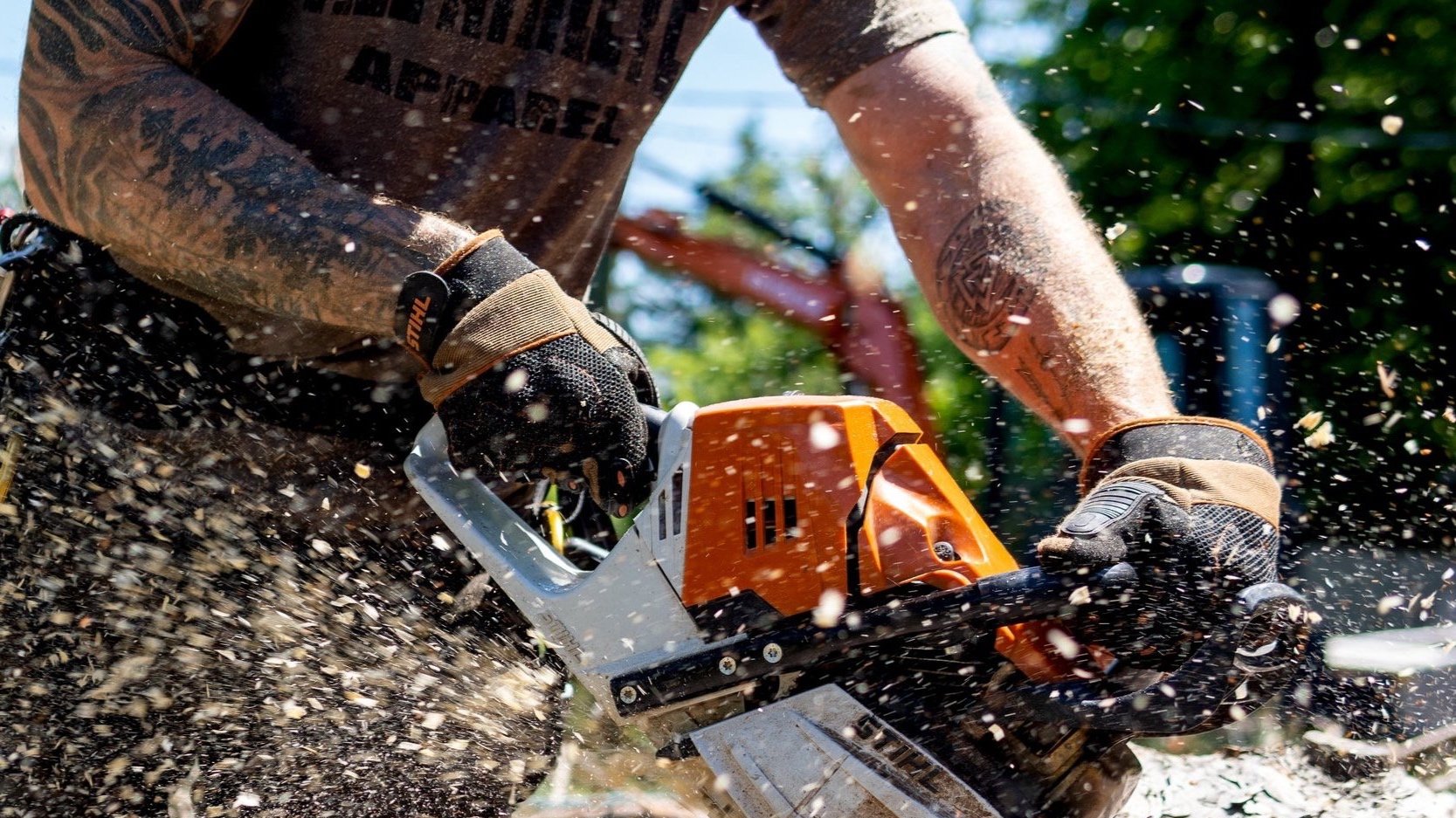 L-Jack Tree Services crew at work in Fredericton